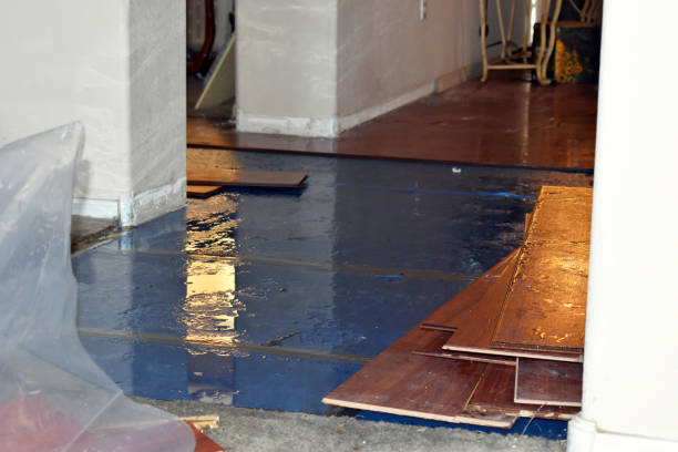 Professional Water Damage Restoration technician working in Fulton, NY